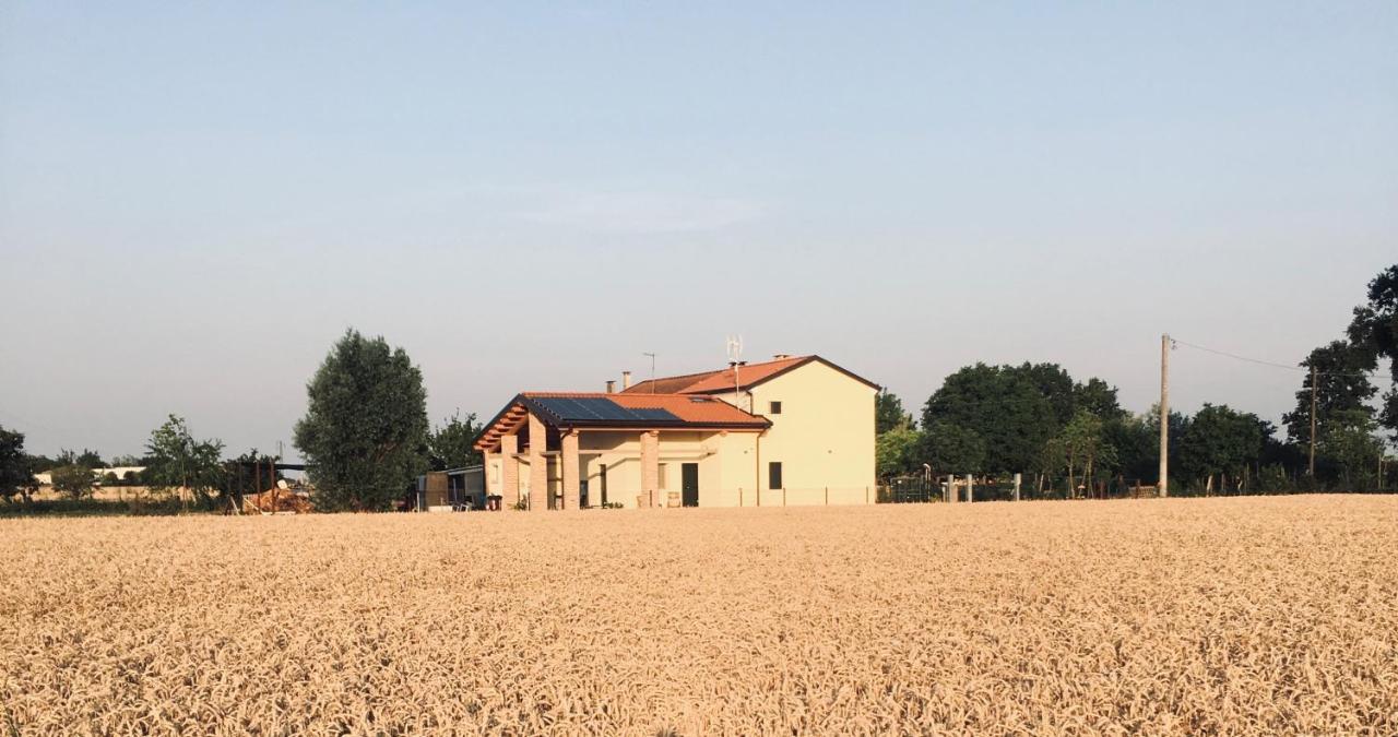 Corbola B&B Casa Egle المظهر الخارجي الصورة
